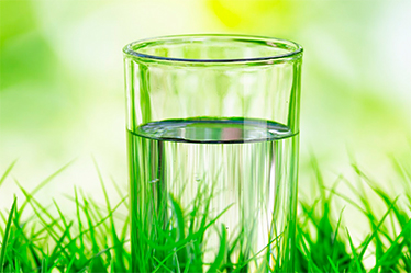 Вода очищает организм снаружи  и изнутри