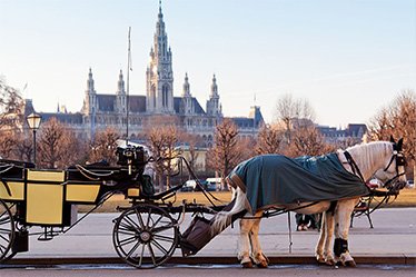 Акция Года:  «Венская симфония»