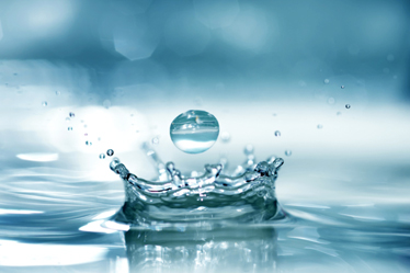 Всемирный день водных ресурсов. 