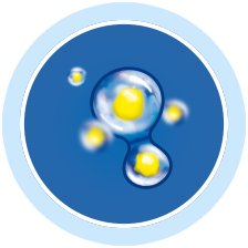 Интенсивная регенерация клеток Аква Актив